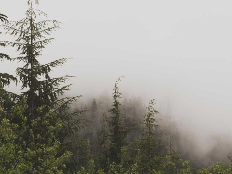 Himenaeos eros tristique dis molestie diam quis vulputate velit